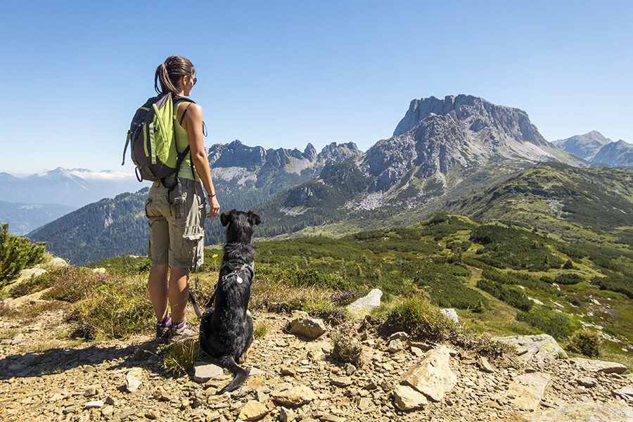 Hiking With Dogs: Safety Tips to Make Your Adventure Memorable