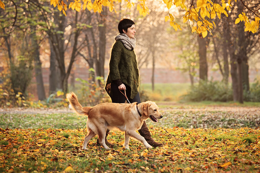 8 Amazing Health Benefits of Walking Your Dog