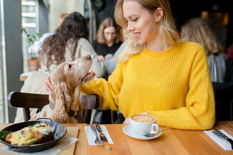 Part 1: 5 Pet-Friendly Cafes in India